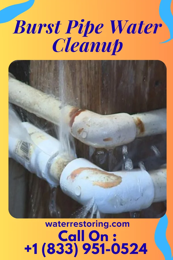 Burst Pipe Water Cleanup in Haynes, ND