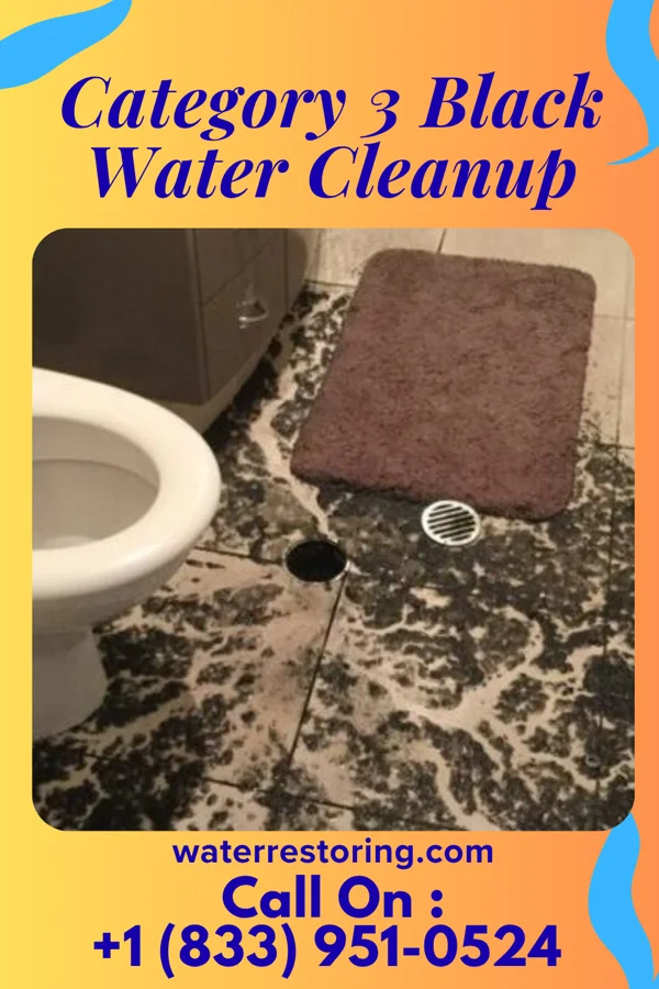 Category 3 Black Water Cleanup in Haynes, ND