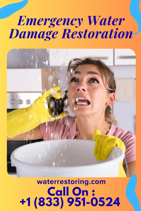 Emergency Water Damage Restoration in Haynes, ND